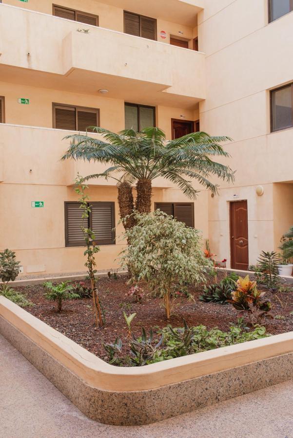Apartamento Medano Granadilla De Abona Eksteriør billede